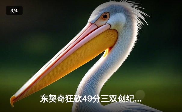 东契奇狂砍49分三双创纪录，独行侠加时险胜篮网，欧文伤退埋隐忧 - 3